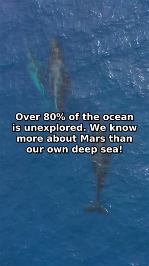 Deep Sea: 5 Mind-Blowing Ocean Secrets! 🤯