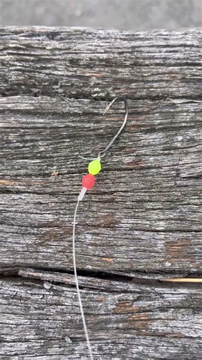 This is my killer snapper trace.