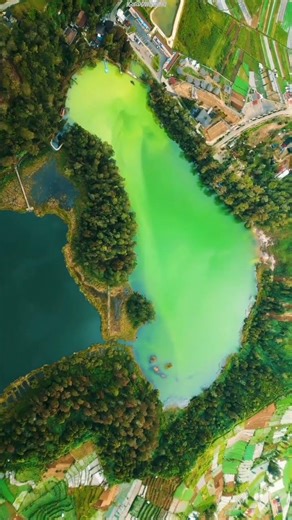 Dieng, Central Java, Indonesia. source: (@dwilindri) IG #indonesia #nature #shorts