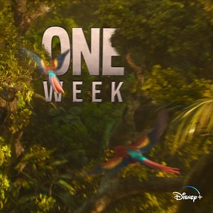 24K views · 314 reactions | Have you got your boarding pass ready to step aboard an action packed adventure?  Get ready for #DisneyPlusDay! Disney’s #JungleCruise arrives in ONE WEEK to all Disney+ subscribers. | Disney+ | Facebook