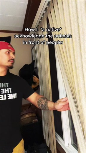 Native American Horror Humor: The 4 Legged