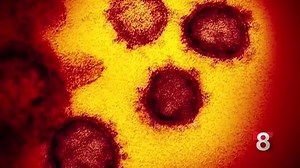 News 8 Digital Update for Wednesday morning: •Around 20-percent of CT's workforce has filed for unemployment benefits •Nearly 14,000 confirmed cases of coronavirus in CT, 671 dead | WTNH News 8