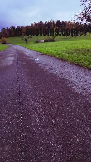 VP Customs on TikTok