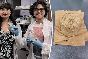 Bio-Brick : cette brique de construction "biologique" zéro émission et zéro déchet se cultive en laboratoire