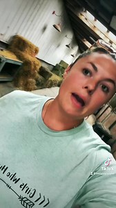 Horse Facial Markings & What They’re Called!🐴 | Katie Van Slyke