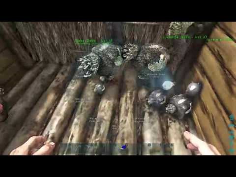Ark Survival Evolved How To Reduce Imprint Timer, ITS FINALLY FIXED!