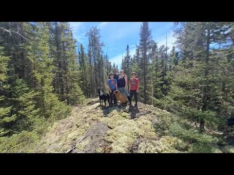 Off Grid and Unorganized Live Stream