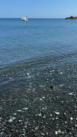 Another ‘Where to? Wednesday’ You might know this one if you like your diving, it’s not your typical golden sandy beach but we promise it is in Cornwall. Watch to the end for something incredible. I didn’t know starfish got this big in uk waters 😳 It was about the size of a dinner plate! #wherearewe#walkingcornwall #cornwall #cornwallcoast #cornishcoast #hiddencornwall #cornishcoast | Walking Cornwall