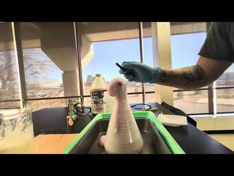 H2O2 Decomposition Part 2