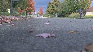 Butler County Auditor at odds with the state