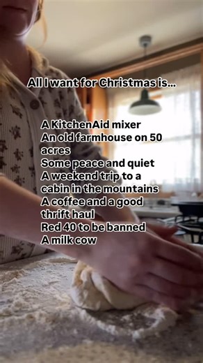In case my husband asks, here’s my wish list this year. 🤭 Are any of these on your list too? #homesteader #homemakerlife #homemakers #homemaker #homesteadersofinstagram | Hawley Homestead