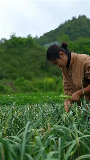 Sitan Cooks on Instagram: "Part 1: Garlic Scapes: A Thousand-Year Flavor | Traditional Countryside Ingredient Discover the timeless taste of garlic scapes (蒜苔) — a fragrant ingredient that has been cherished in Chinese cooking for thousands of years. 🌿✨ From the fields of the countryside to the kitchen table, garlic scapes bring a unique aroma and crunch that make them a true treasure of rural life and traditional Chinese cuisine. Whether stir-fried, stewed, or paired with meat, this humble ing