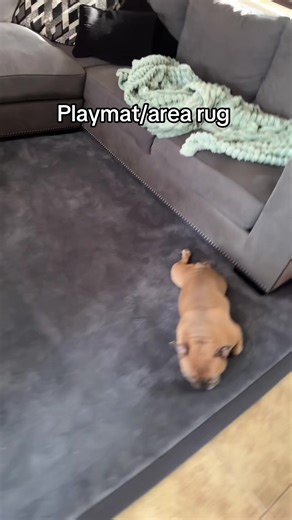 Water-Repellent Playmat: A Safe and Soft Alternative