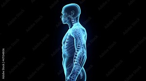 Transparent Human Body on black background, loop rotation
