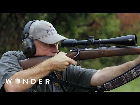 Trophy Hunting: Exposing a Multi-Million Dollar African Wildlife Business