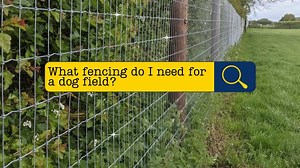 What Fencing Do I Need For A Dog Field?