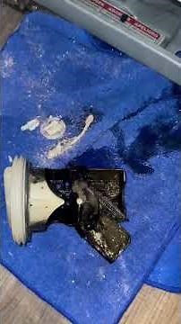 Most Homeowners Never Check This Hidden Washer Filter