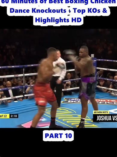 60 Minutes of Best Boxing Chicken Dance Knockouts - Top KOs & Highlights HD (10)