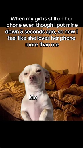 When your girlfriend stays on her phone — funny relatable couple moment