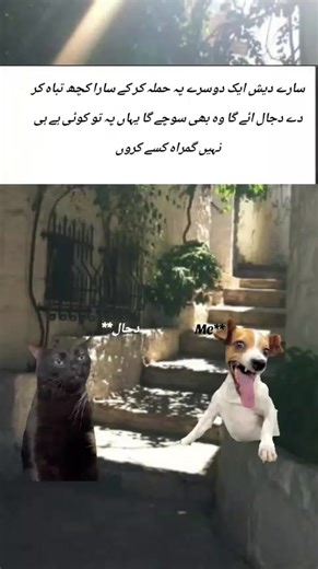 Exploring Technology Through Humor and Memes