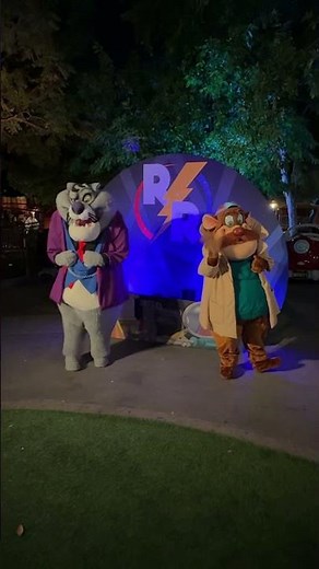 Chip 'n Dale Rescue Rangers at Disney Channel Nite🌰#disney #disneychannel #disneyland #rescuerangers