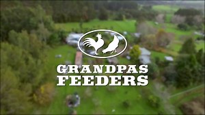 Watch Grandpa's Feeders - The Original Automatic Chicken Feeder on Amazon Live