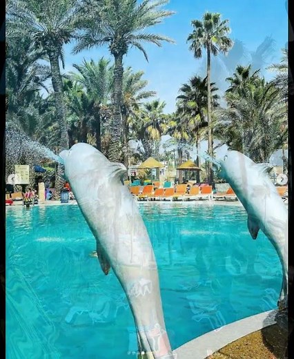 Riadh Palms Resort & Spa