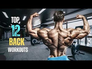 Top 12 Most Effective Back Workouts | Full Back Workouts at the gym (Beginners → Intermediate)