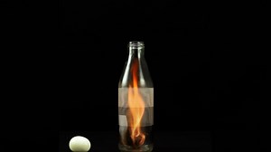 Simple Egg Experiments to Do at Home