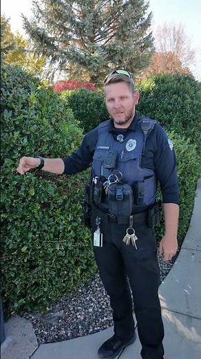 Safety and Blue Lights | Embry-Riddle Aeronautical University (ERAU)