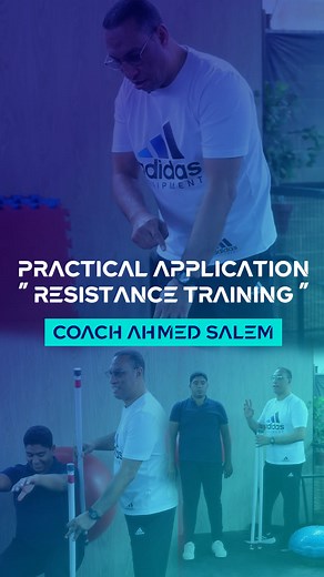 Swiss Ball Squat C / Ahmed Salem SCS _ Strength and Conditioning specialist _ Mans | TASS Academy