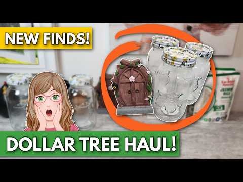 AWESOME Dollar Tree Haul & Walkthrough | March 23, 2026