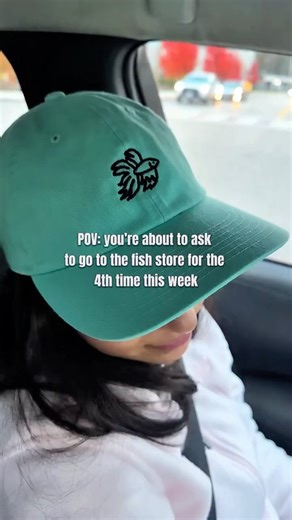 The Betta Babes on Instagram: "and it’s only thursday 🤭 #bettacommunity #fishtank #bettafishtank #aquascape #fyp"