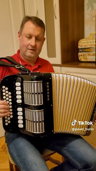 HOHNER (11 регистров) #пашагармонист #harmonica #accordion #hohner