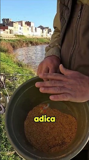 This is how you prepare the perfect BAIT: Mixing PELLETS and Groundbait (Proportions)