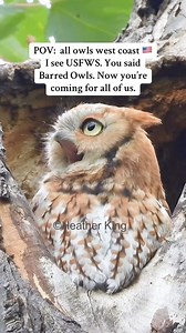 22K views · 1.8K reactions | Now even the screech owls are terrified...