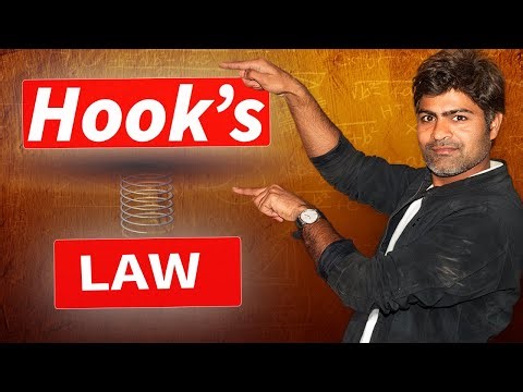 Visualize Hook's Law #jeenityofficial #jeenityclasses