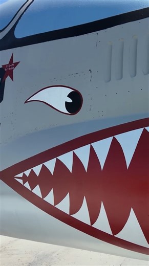 Sanding, sketching, painting and serious attention to detail. 🦈 ✈️ Our restoration team went above and beyond to preserve the F-8K Crusader. Now on view on our flight deck! 📍Intrepid Museum, Pier 86 📅 10:00AM–5:00PM | Intrepid Museum