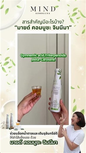 สารสำคัญใน Mind Kombucha Gymnema” #มายด์คอมบูชะ #mindkombucha