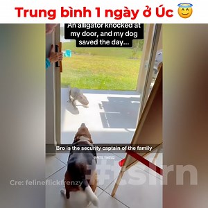 2M views · 65K reactions | "Good job"  #tslrn | Tao sợ lắm rồi nha | Facebook