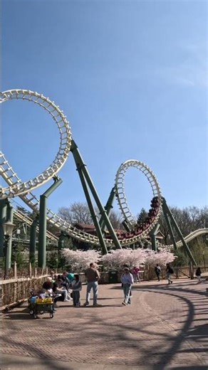 Python Double loopings #shorts #rollercoaster #coaster #park