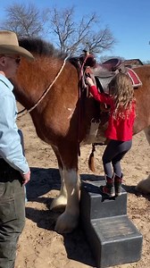 1.3M views · 70K reactions | First day on the barrels for Oakley x Rosie, the barrel racing Clydesdale. Ty Murray said I need to speed it up as fast as it will go . Couldn’t ask for a better horse! #barrelracing #clydesdale | Paige Murray’s Boots & Biscuits | Facebook