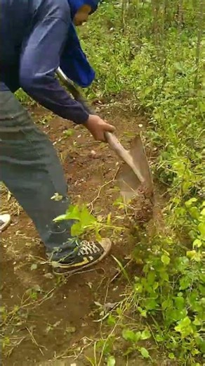the laborer #laborer #industrious #laborday #ytshorts