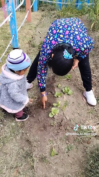 CDI INTEGRAL LA MERCED on TikTok