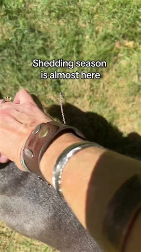 Short or long haired dog owners this is the best pet product dog deshedding grooming brush hack I’ve ever used. They also make them for cats and horses. Don’t buy another brush again get this deshedding tool from Sleek Ez.