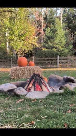 🔥 1 HR Autumn Campfire in 20 Seconds | Relaxing Fire Short #campfire #fire #cozy #relaxingshorts