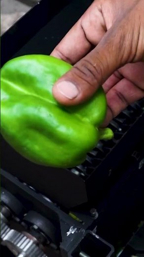 DIY waste Food Shredder Compost maker Machine Shorts