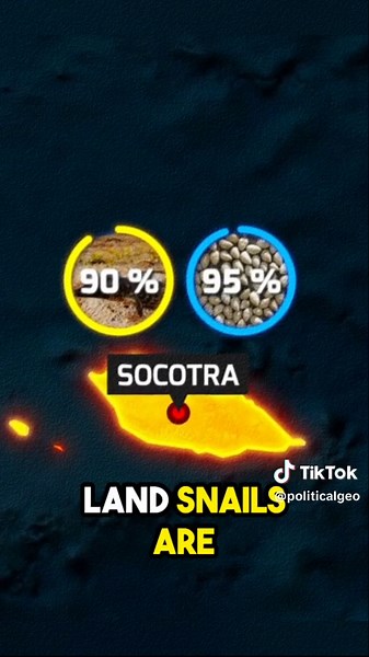 Exploring Socotra: The Alien Island of Unique Biodiversity