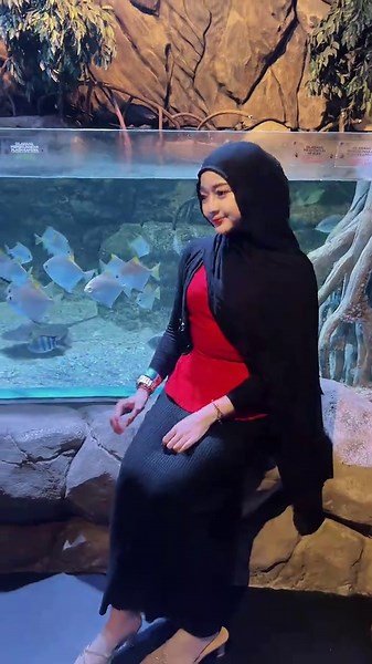 Aquarium Jakarta: Stunning Underwater Views