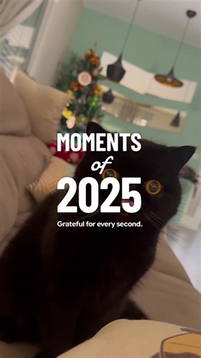 Resumen de la temporada 2025: Un cierre significativo